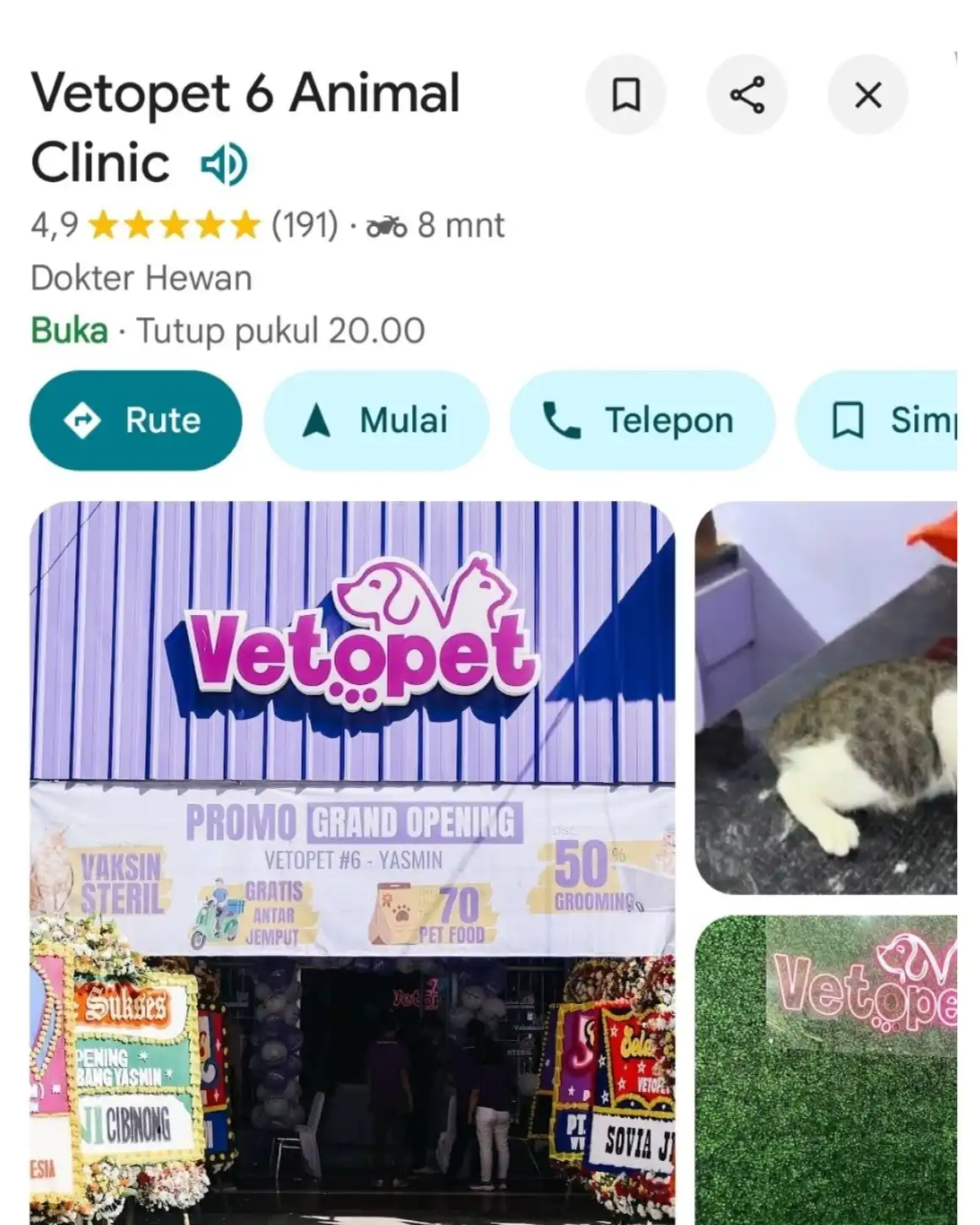 Vetopet 6 Yasmin